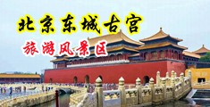 穿着黑丝高跟挨肏小说中国北京-东城古宫旅游风景区