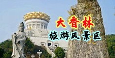 肏死你骚屄视频中国浙江-绍兴大香林旅游风景区
